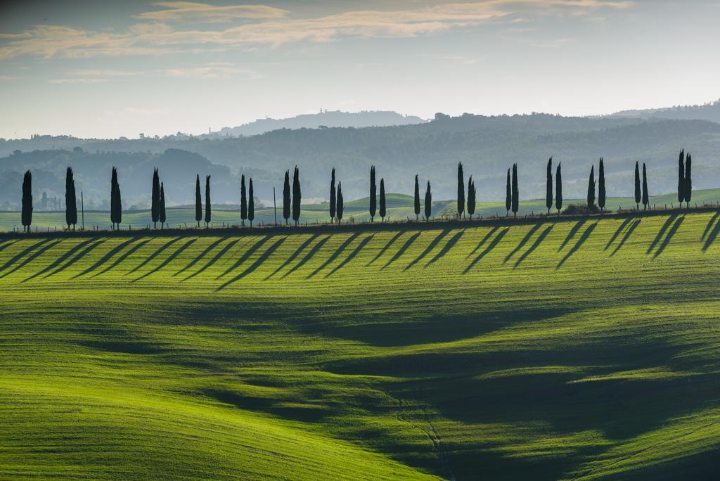 Podere Ampella Villa San Giovanni dʼAsso Kültér fotó